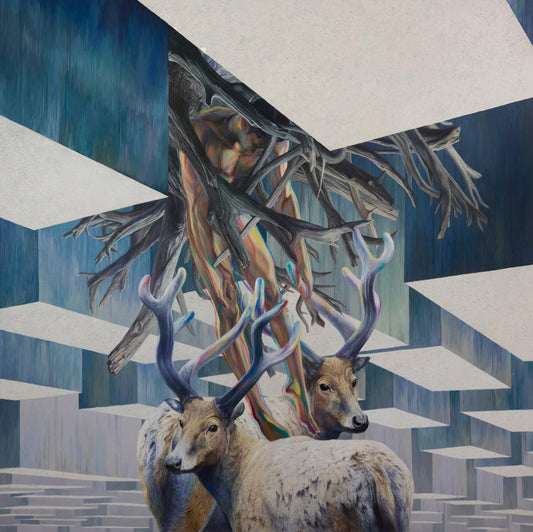 Wild dream fantasy series NO.13