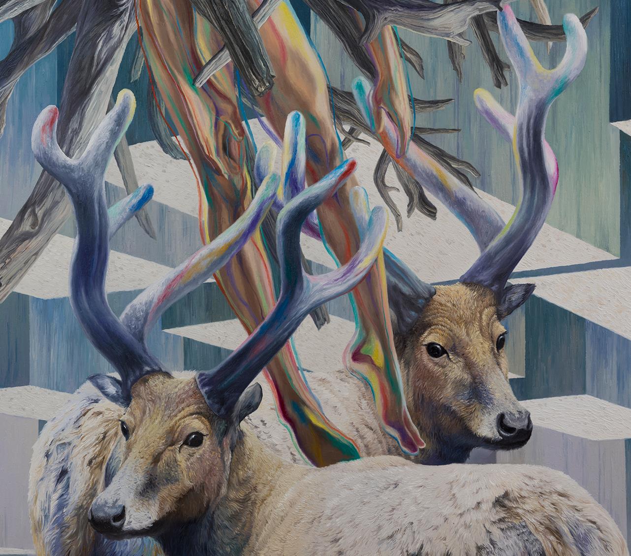 Wild dream fantasy series NO.13
