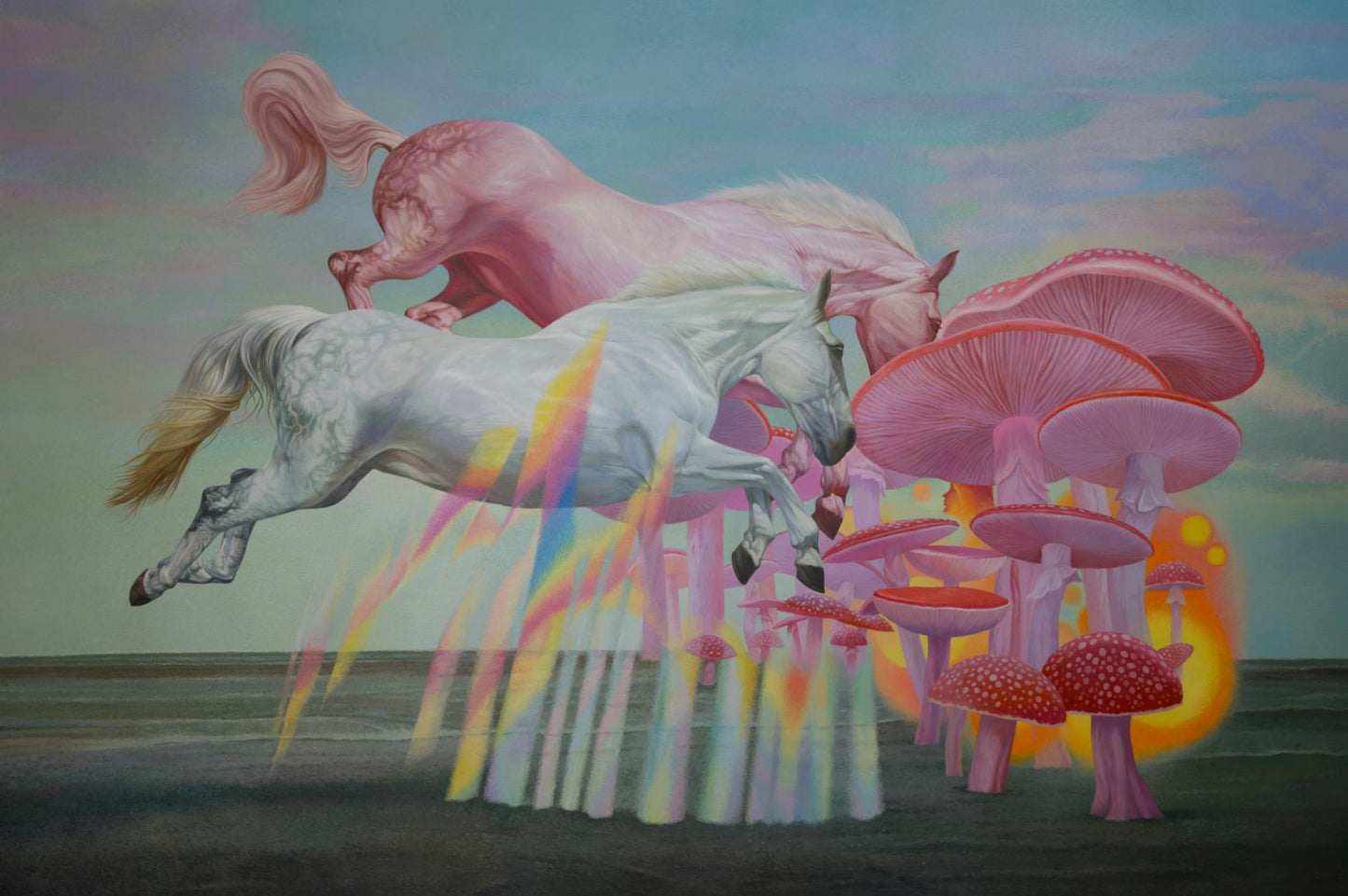 Wild dream fantasy series NO.17