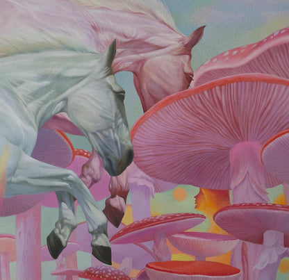 Wild dream fantasy series NO.17