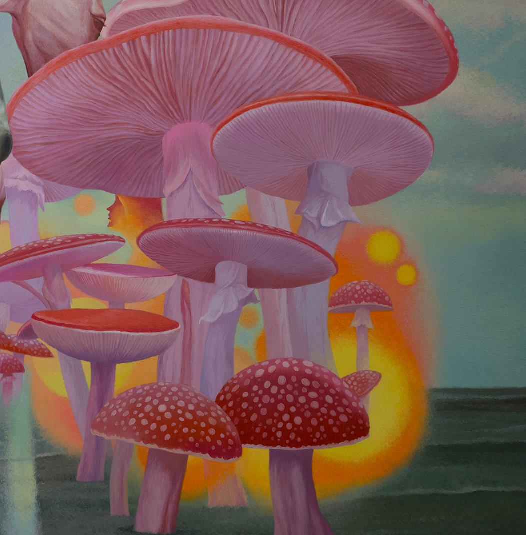 Wild dream fantasy series NO.17