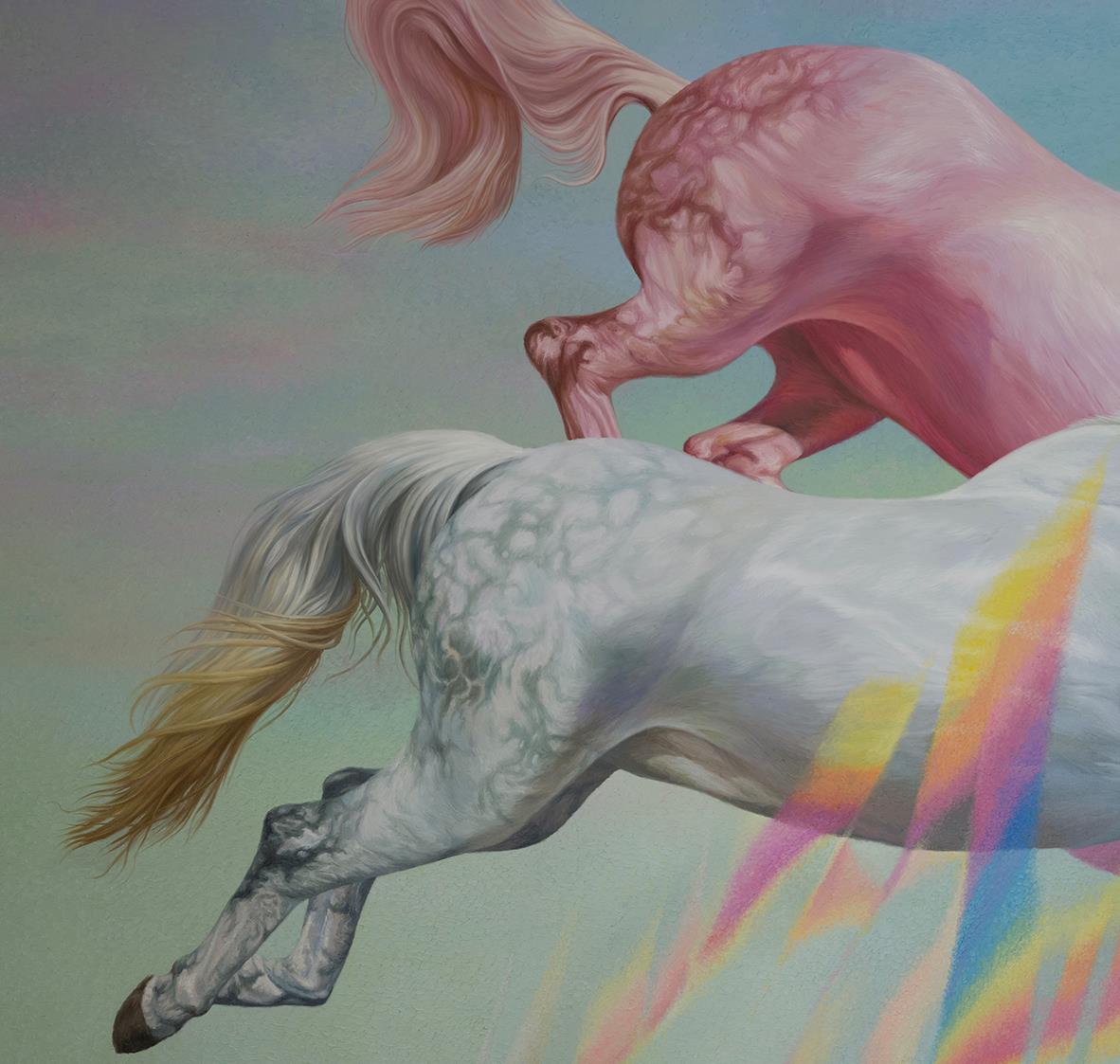 Wild dream fantasy series NO.17