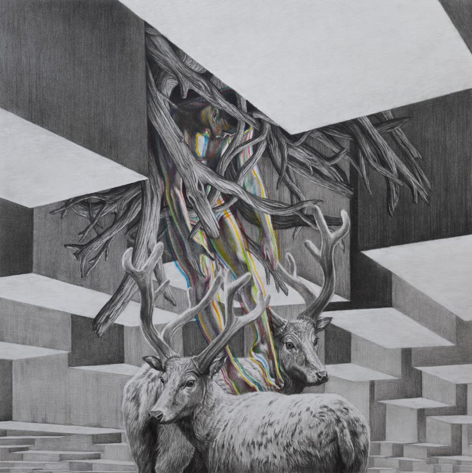 Wild dream fantasy series NO.13