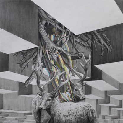 Wild dream fantasy series NO.13