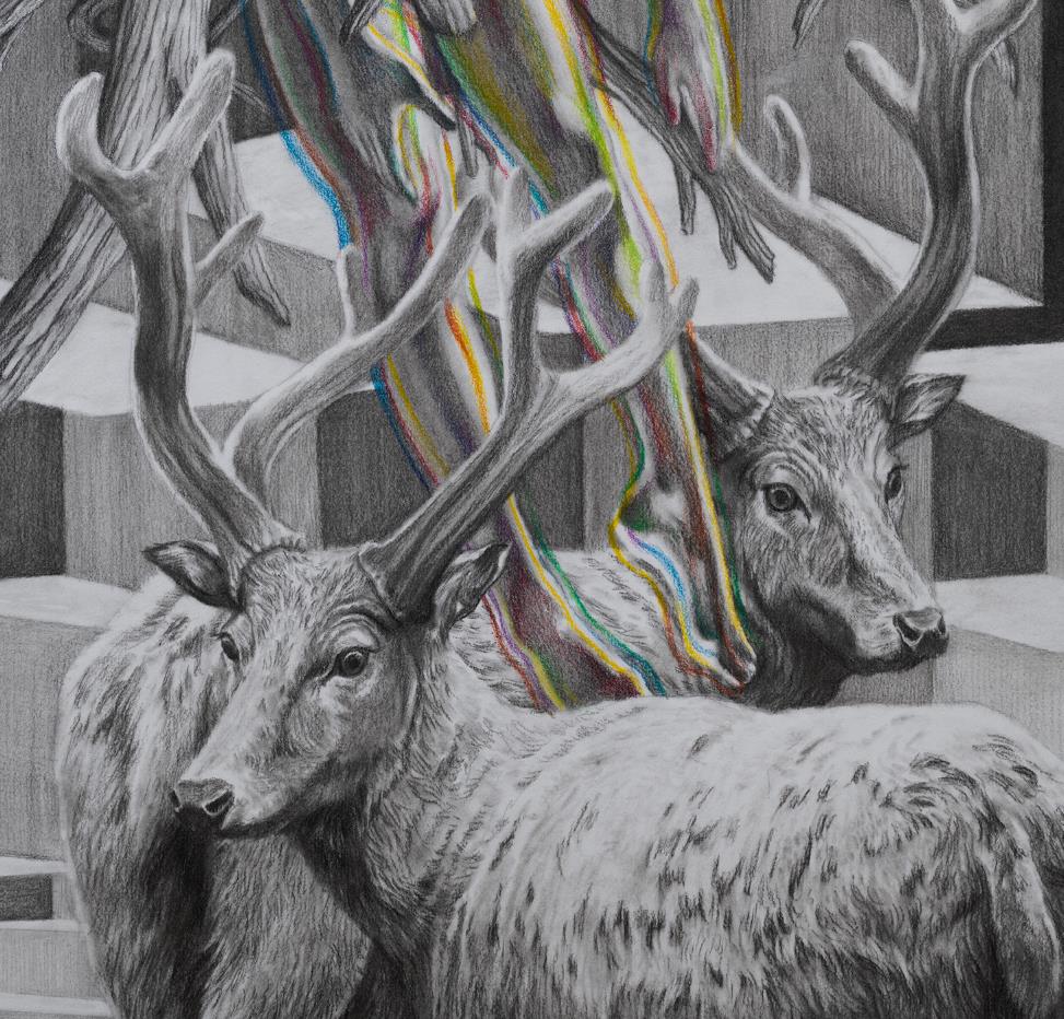 Wild dream fantasy series NO.13