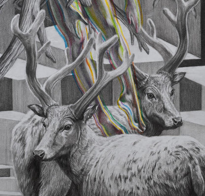 Wild dream fantasy series NO.13