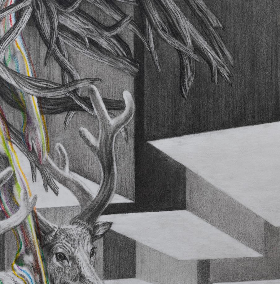Wild dream fantasy series NO.13
