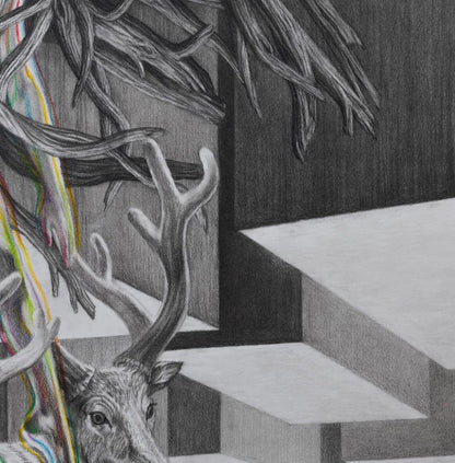 Wild dream fantasy series NO.13