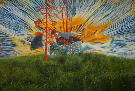 Wild dream fantasy series NO.11