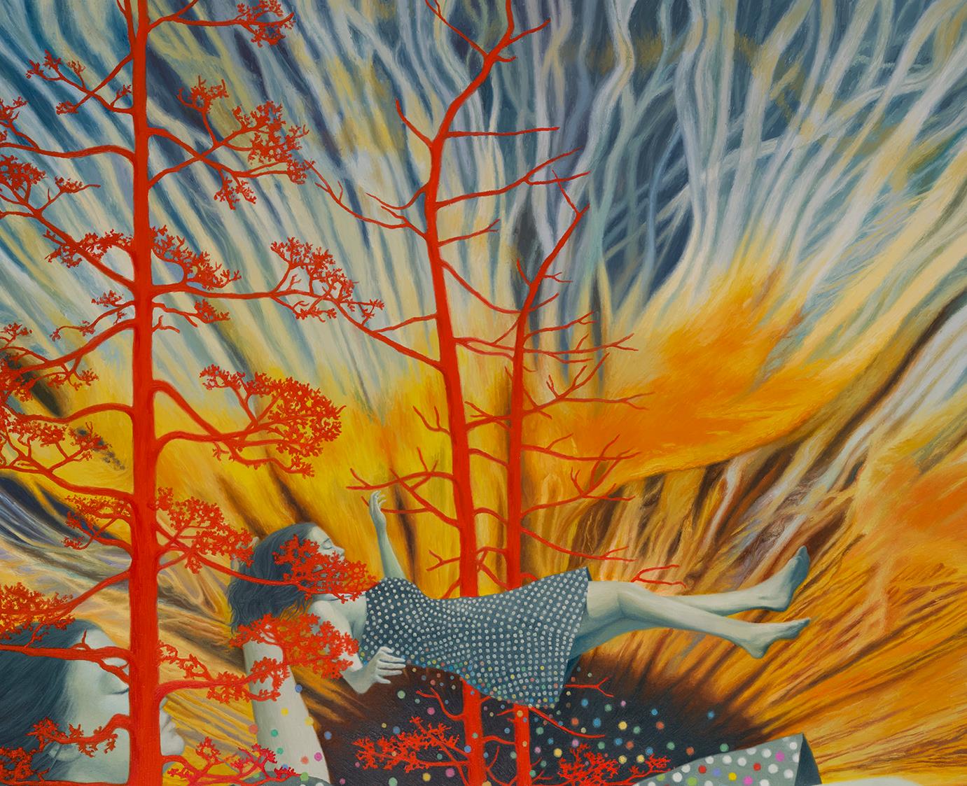 Wild dream fantasy series NO.11
