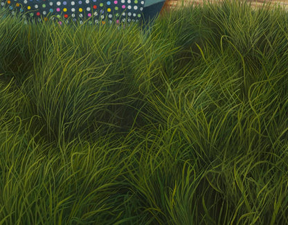 Wild dream fantasy series NO.11